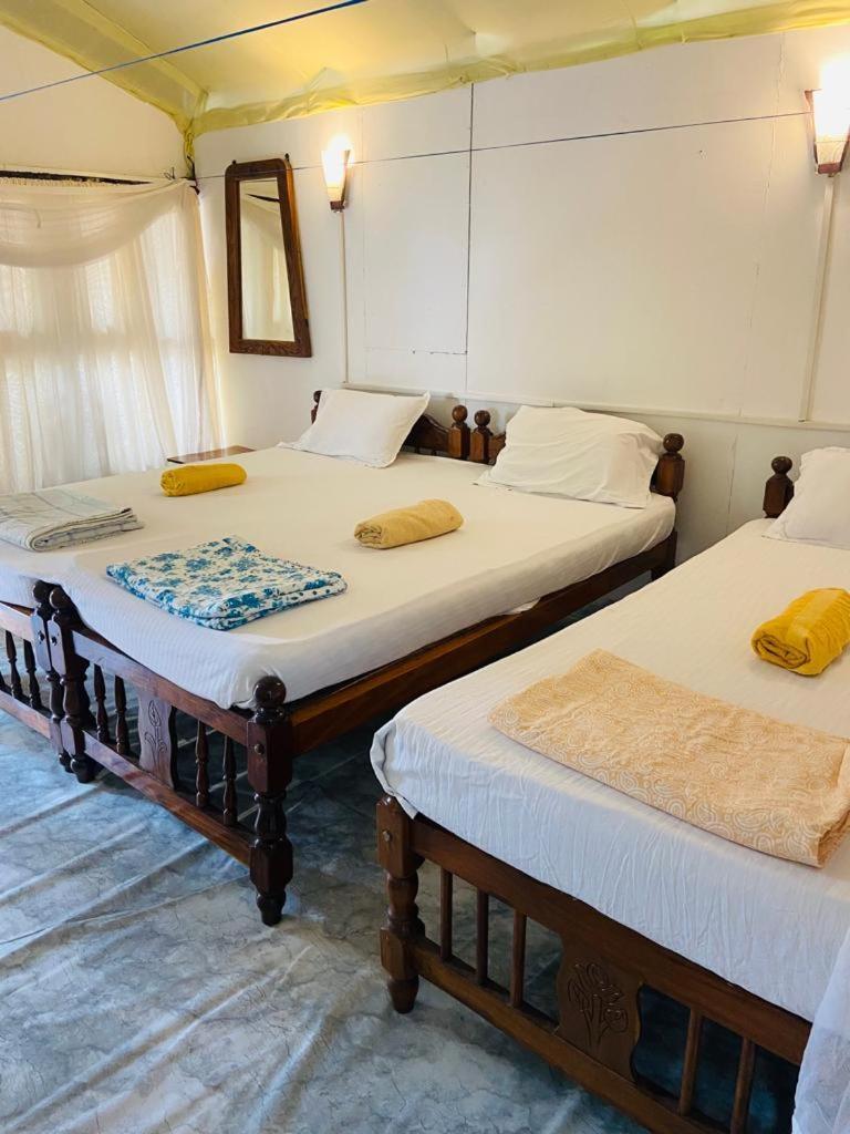 Tent Cressida Cyrus Палолем Номер фото