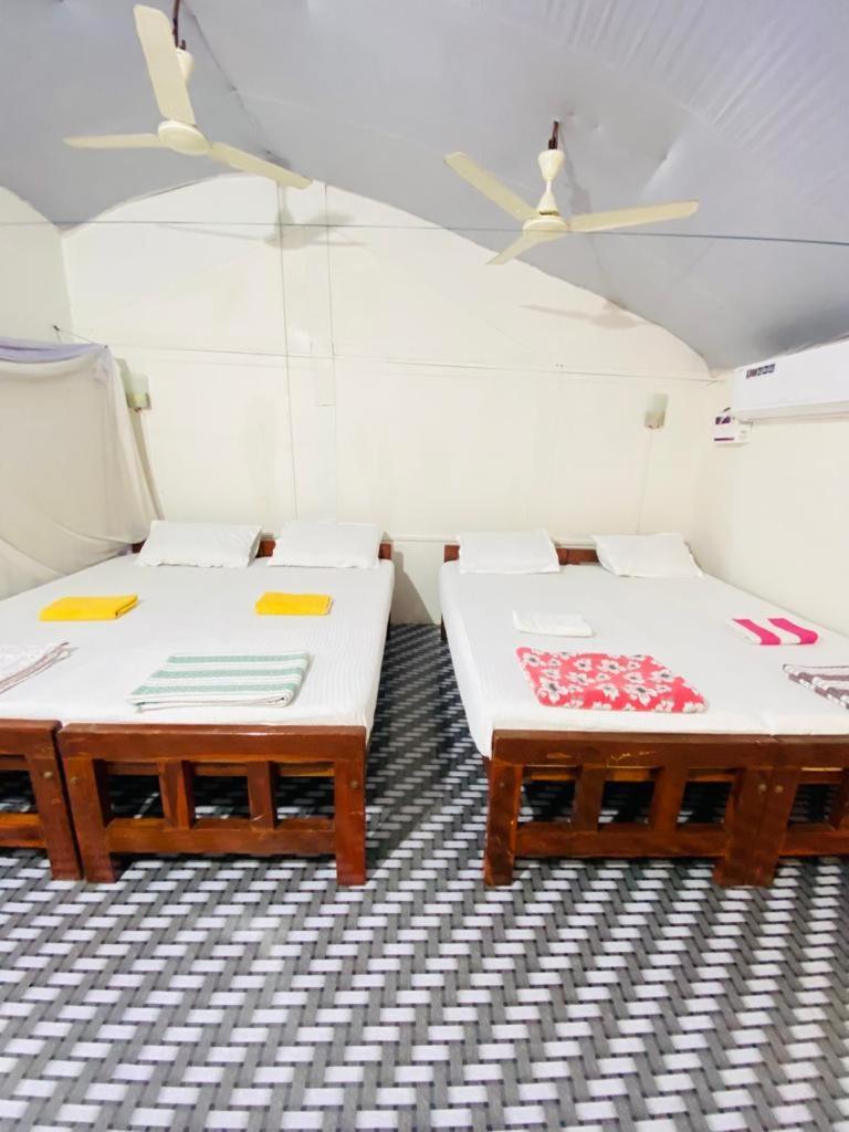 Tent Cressida Cyrus Палолем Номер фото